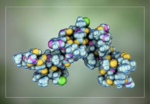 Key Biologics Sector Outlook