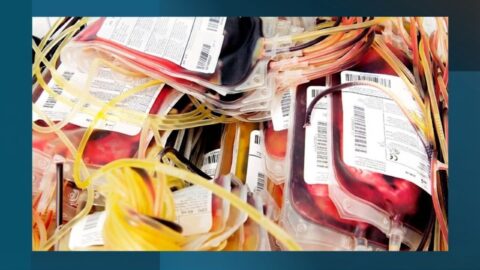 Emerging Landscape of Plasma Products Market