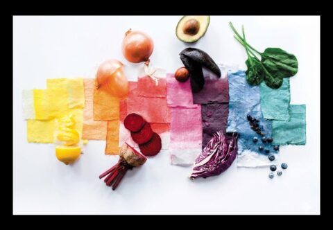 Global Natural Dyes Market Outlook