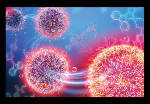 Global Biomaterials Outlook