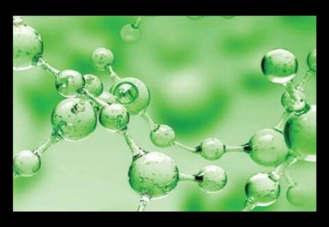 Global Biosurfactants Market Outlook