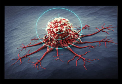 Targeted Cancer Therapies